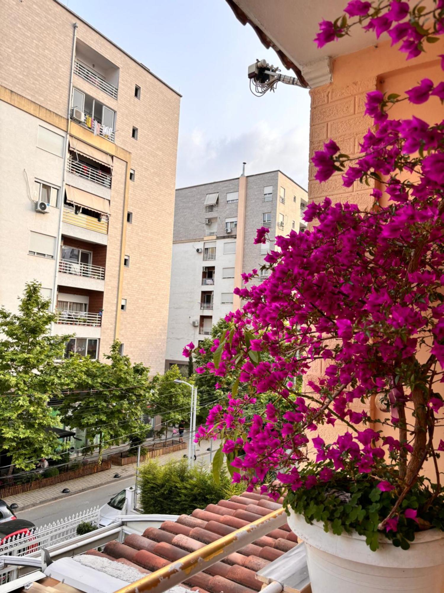 Apartment Meda's *